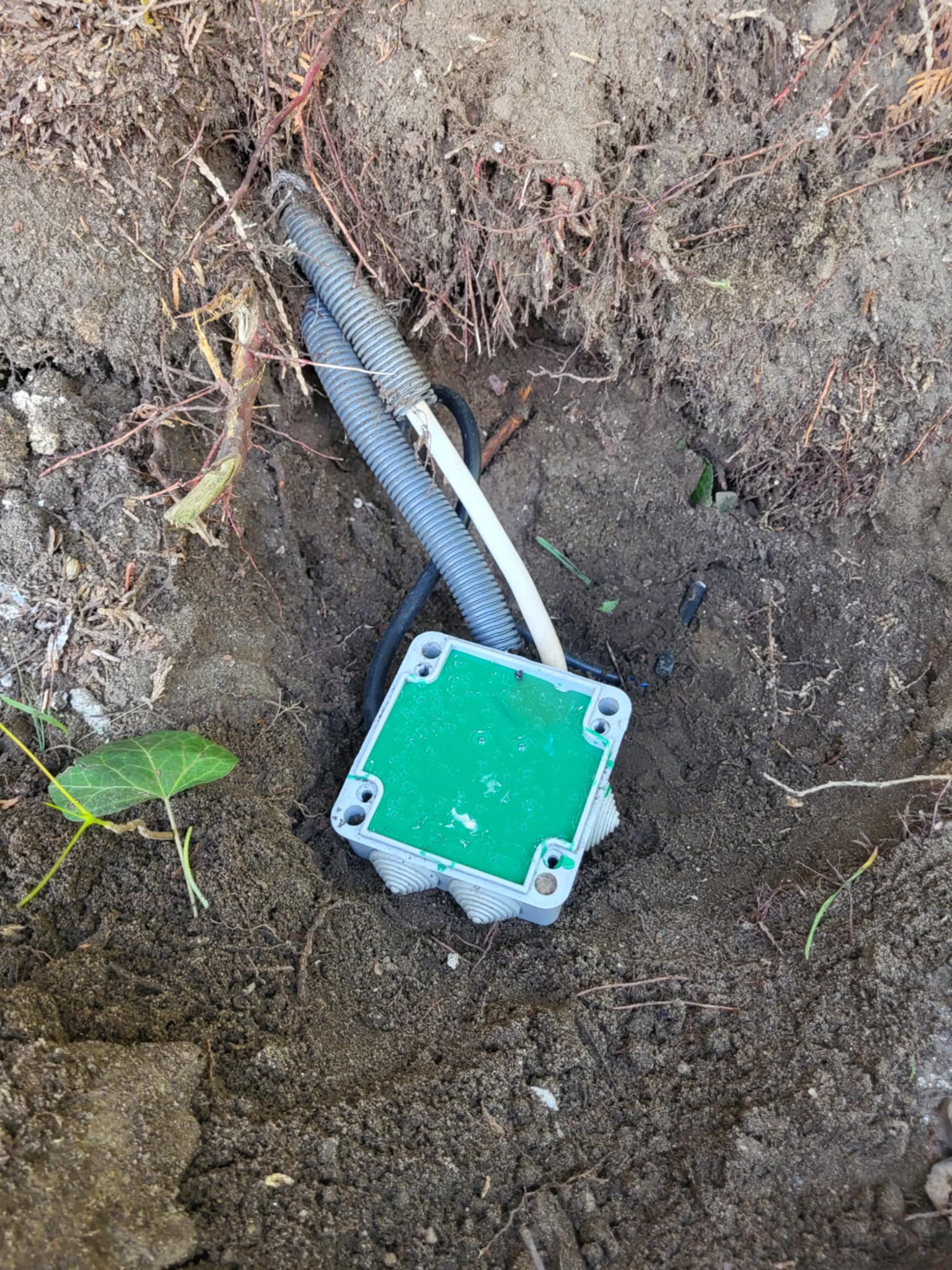 Efekt finalny specjalistycznych usług